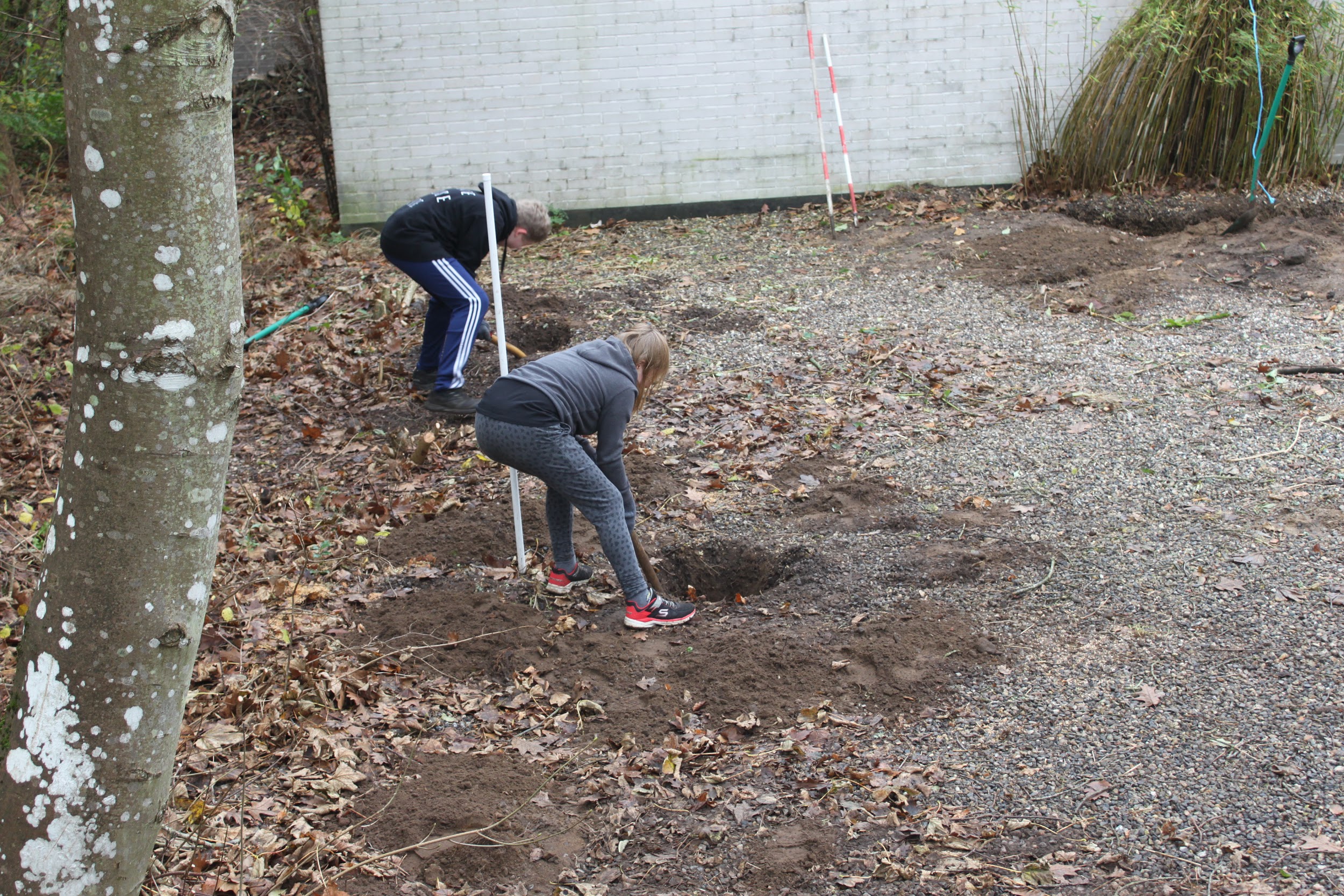 Elever på den interne skole på Skovhuset i Ulfborg graver huller som led i undervisningen